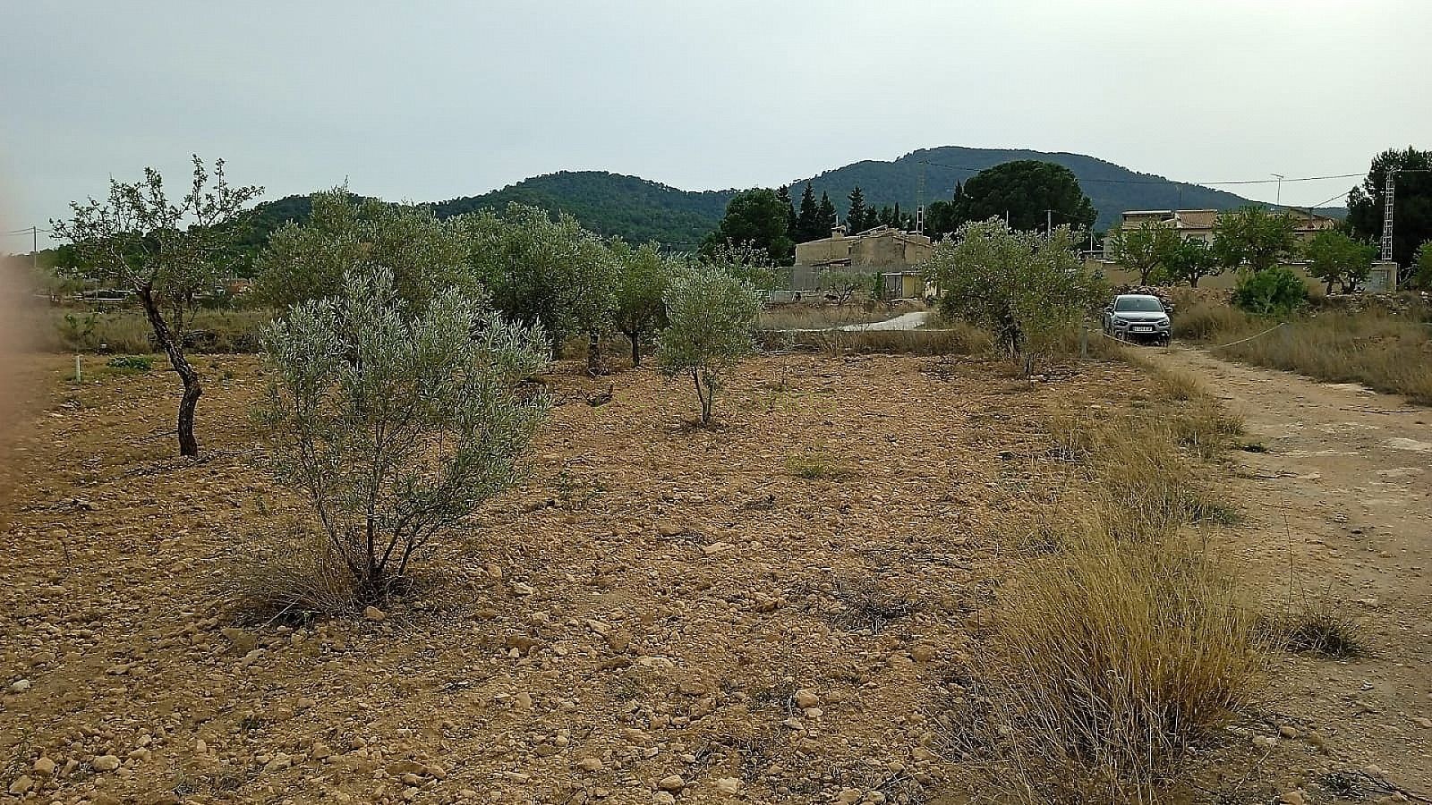 Grondstuk in Monóvar - Wederverkoop - Inland Villas Spain