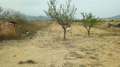Grondstuk in Monóvar - Wederverkoop - Inland Villas Spain
