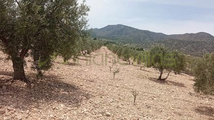 Atterrir dans Salinas