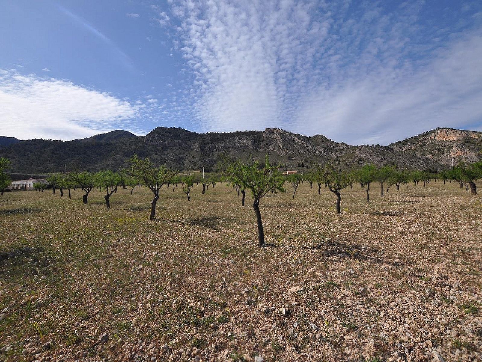 Grondstuk in Salinas - Wederverkoop - Inland Villas Spain