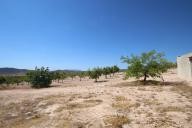 Country house with 100.000M2 olives and Almonds in Inland Villas Spain