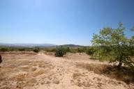 Country house with 100.000M2 olives and Almonds in Inland Villas Spain