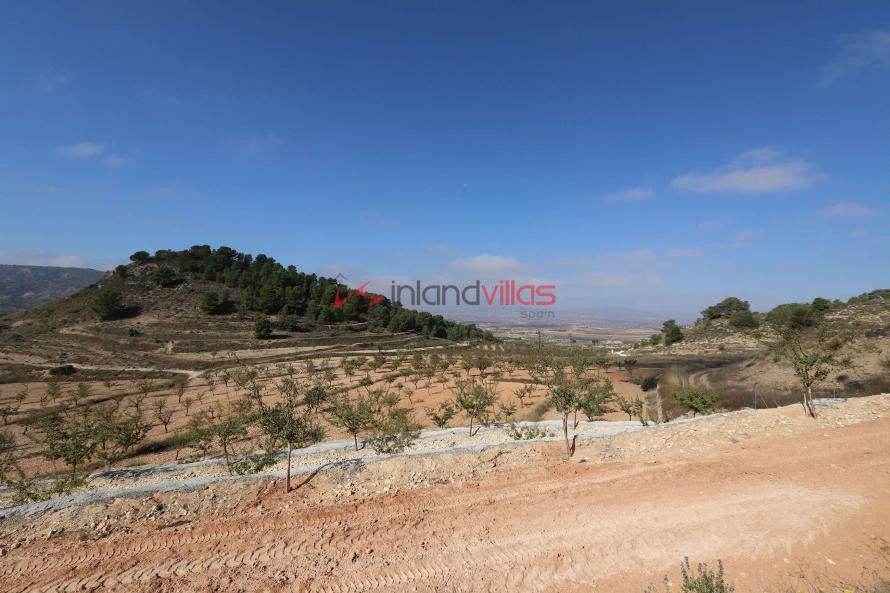 Building plot in Encebras Pinoso  in Inland Villas Spain