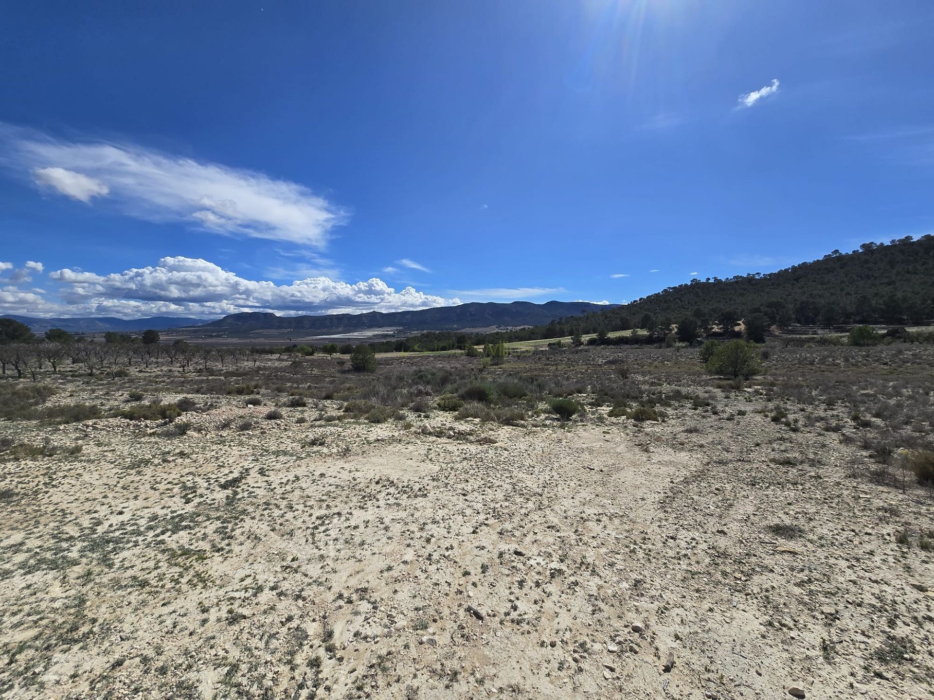 3 Plots of land in Salinas next to each other - Inland Villas Spain