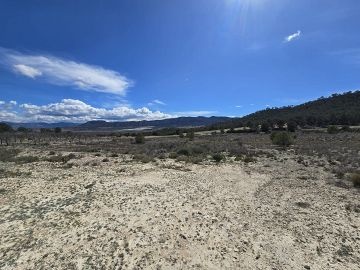 3 Plots of land in Salinas next to each other