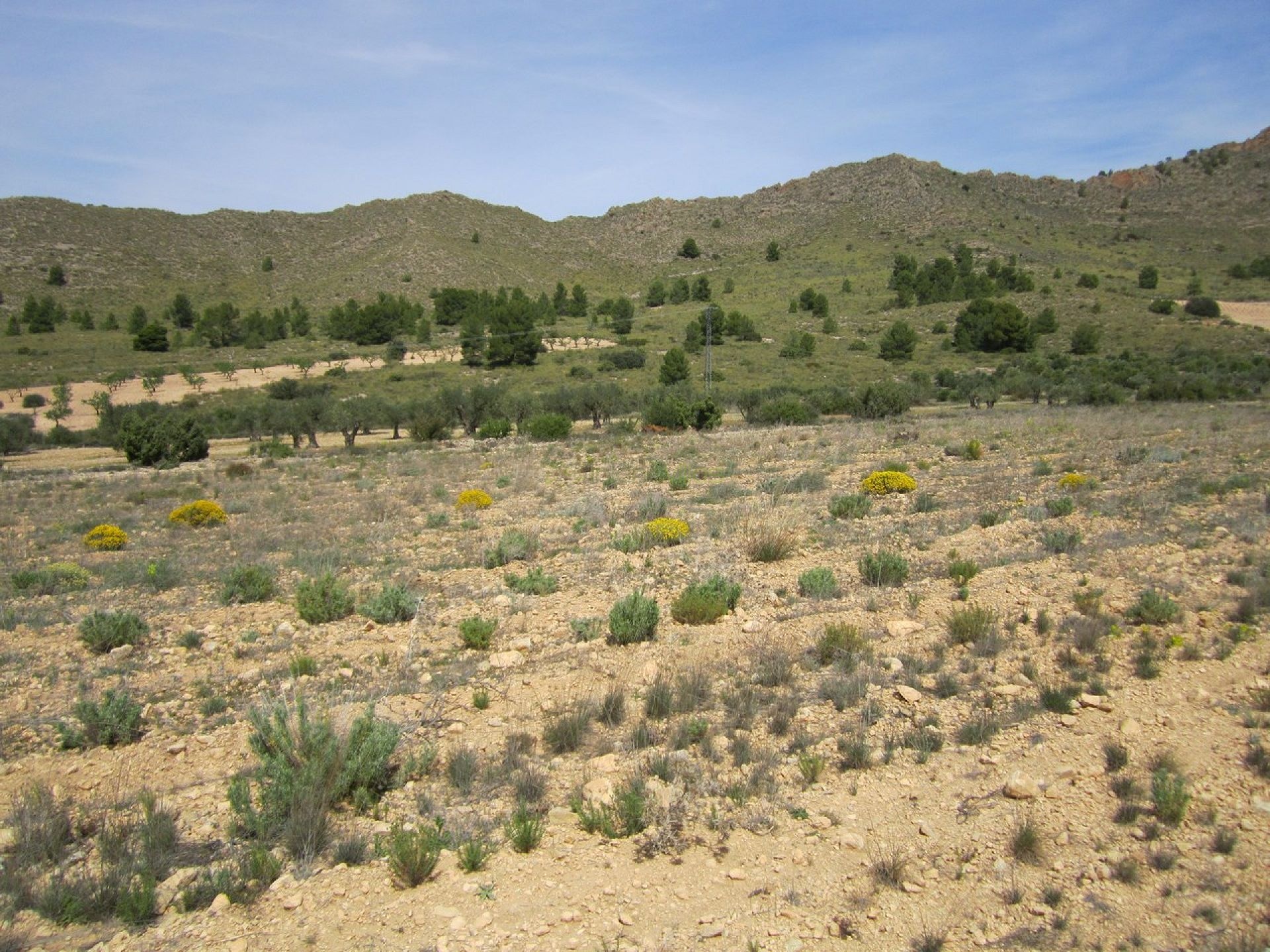 Terrain de 8 754 m2 dans un cadre naturel. - Inland Villas Spain