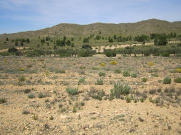 Terrain de 8 754 m2 dans un cadre naturel. - Inland Villas Spain