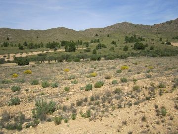 Terrain de 8 754 m2 dans un cadre naturel.