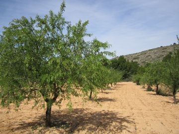 Terrain de 10 401 m2