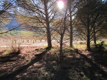 Plot of 8,266m2 - Inland Villas Spain
