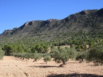 Terrain de 19 496 m2