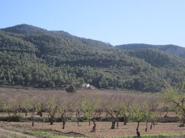 Plot of 20,054 m2 - Inland Villas Spain