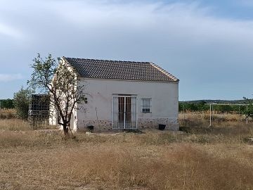 Small country house with land near Yecla