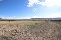 Large plot of land with a ruin in Yecla, Murcia in Inland Villas Spain