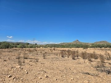 Building Plot in Salinas