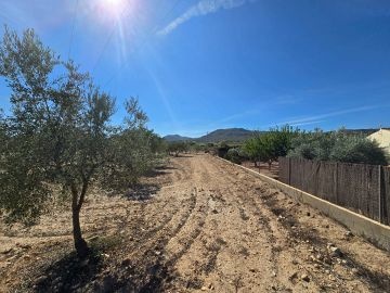 Building Plot in Salinas