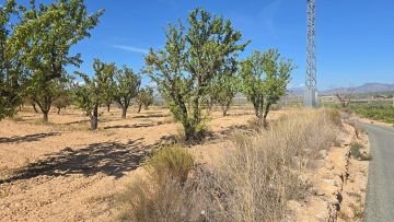 Building Plot in Salinas - Inland Villas Spain