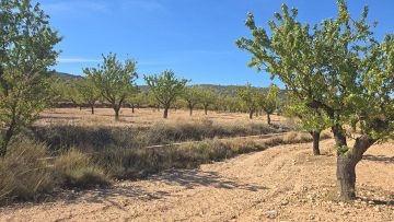 Building Plot in Salinas