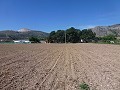 Aspe, terrain à vendre ! - Terrains à bâtir à vendre à Aspe, Alicante | Alicante, Aspé in Inland Villas Spain