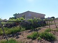 Aspe, Grundstück zu verkaufen! - Baugrundstücke zum Verkauf in Aspe, Alicante | Alicante, Aspe in Inland Villas Spain