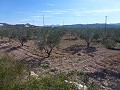 Urban Land for sale - Building Plots for sale in Macisvenda, Murcia | Alicante, Macisvenda in Inland Villas Spain