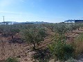 Stedelijke grond te koop - Bouwpercelen te koop in Macisvenda, Murcia | Alicante, Macisvenda in Inland Villas Spain