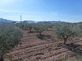 Städtisches Grundstück zum Verkauf - Baugrundstücke zum Verkauf in Macisvenda, Murcia | Alicante, Macisvenda in Inland Villas Spain