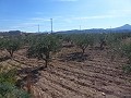 Städtisches Grundstück zum Verkauf - Baugrundstücke zum Verkauf in Macisvenda, Murcia | Alicante, Macisvenda in Inland Villas Spain