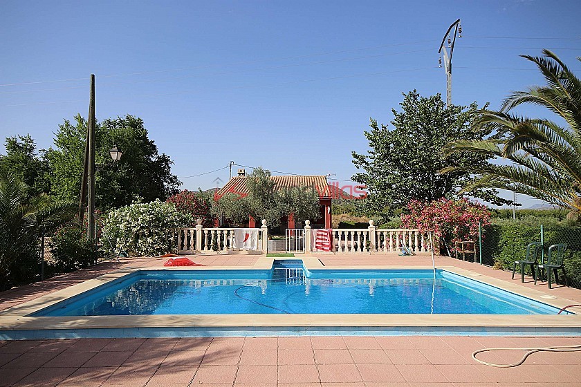 Detached Villa with a pool near Monovar and Pinoso in Inland Villas Spain