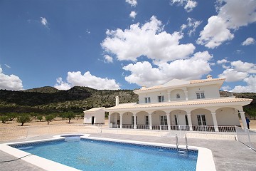 Luxury New Villa with Pool 