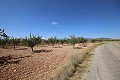 Building plot of land with almond trees in Inland Villas Spain