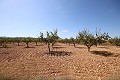 Baugrundstück mit Mandelbäumen in Inland Villas Spain