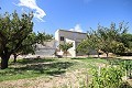 Detached Country House close to Monovar with great views in Inland Villas Spain