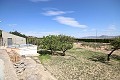 Freistehendes Landhaus in der Nähe von Monovar mit toller Aussicht in Inland Villas Spain