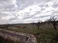Geweldige landelijke finca in Yecla in Inland Villas Spain