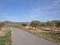 15,000m2 de terreno edificable en Salinas con agua - electricidad cerca in Inland Villas Spain
