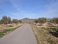 15.000m2 Bauland in Salinas mit Wasser - Stromanschluss in Inland Villas Spain