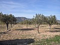15,000m2 of building land in Salinas with water - electric close in Inland Villas Spain