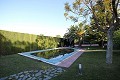 Grote vrijstaande villa met zwembad in Loma Bada, Alicante in Inland Villas Spain