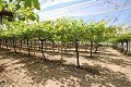 Groot landhuis met marmeren bedrijf en druivenplantage in Inland Villas Spain