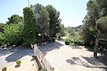 Großes Landhaus mit Marmorgeschäft und Weinplantage in Inland Villas Spain