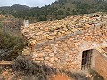 Pakket met ruïnes in La Carche, Jumilla in Inland Villas Spain