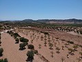 Solar edificable con agua, luz y árboles in Inland Villas Spain