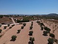 Baugrundstück mit Wasser, Strom und Bäumen in Inland Villas Spain