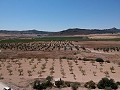 Baugrundstück mit Wasser, Strom und Bäumen in Inland Villas Spain