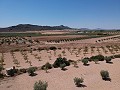 Bouwgrond met water, elektriciteit en bomen in Inland Villas Spain