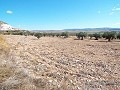 10.500m2 Grundstück mit Leitungswasser in Inland Villas Spain