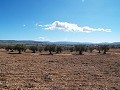 10,500m2 Plot of Land with mains water in Inland Villas Spain