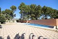 Stunning Detached Villa with a second house, walking distance to Monovar in Inland Villas Spain