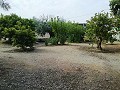 Mooie villa in Ricabacica, Abanilla + olijfgaard in Partidor in Inland Villas Spain